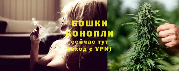 амф Богородицк