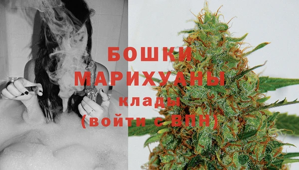 амф Богородицк