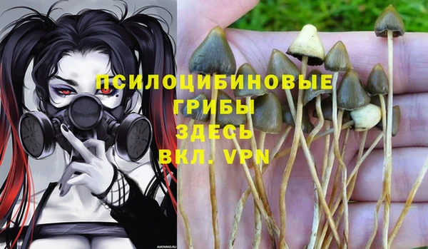 гидропоника Богданович