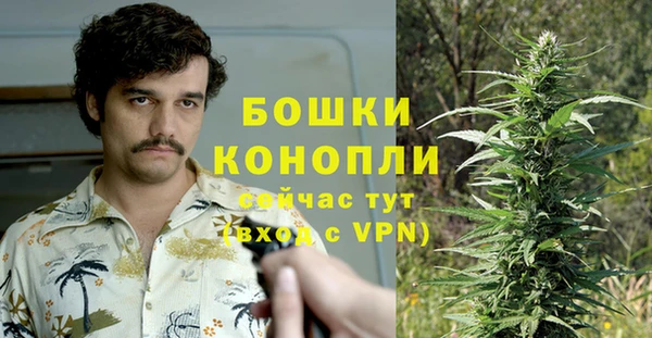 гидропоника Богданович