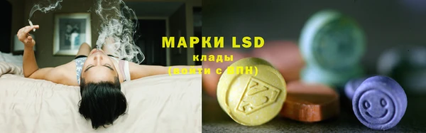 гидропоника Богданович