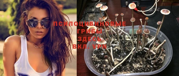 гидропоника Богданович