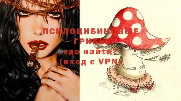 амф Богородицк