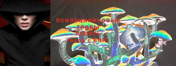 гидропоника Богданович